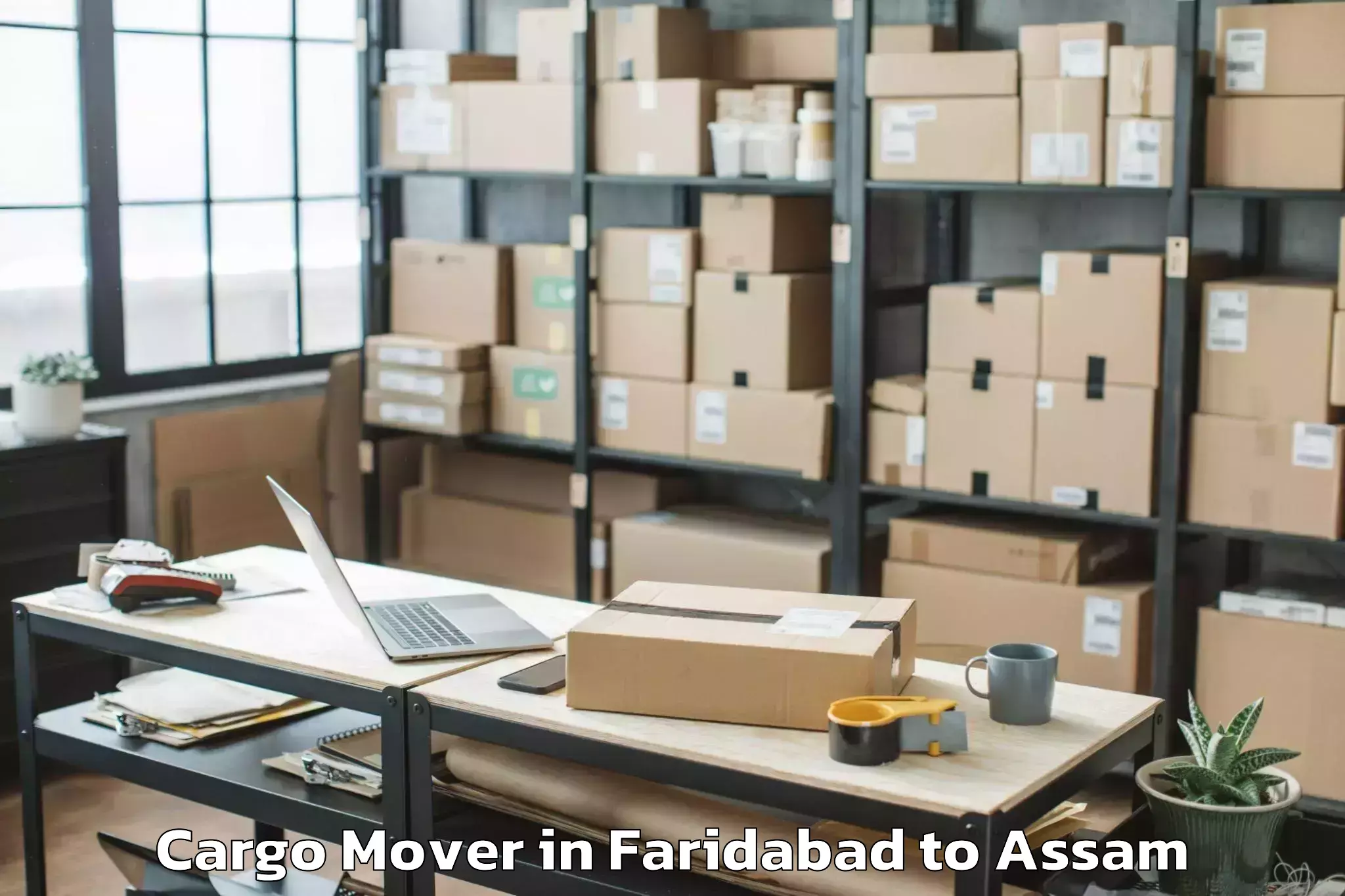 Trusted Faridabad to Dibrugarh University Cargo Mover